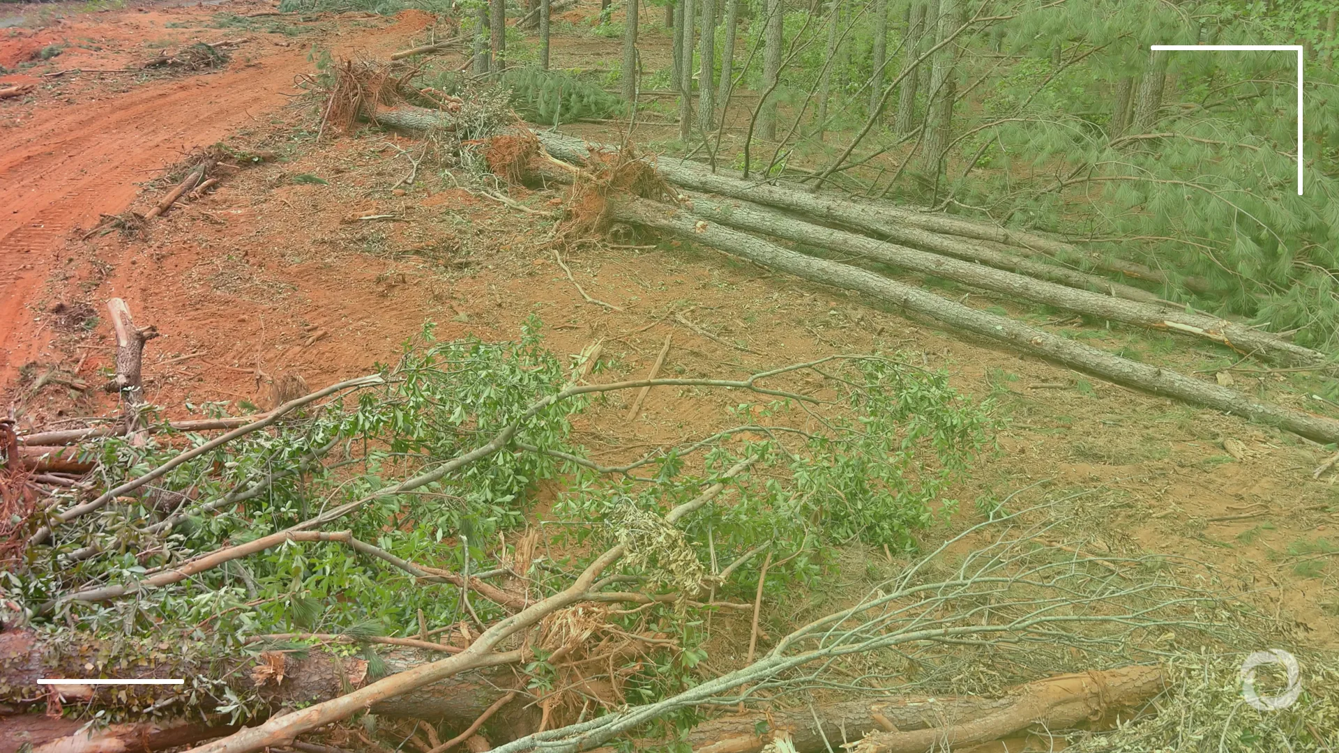 Can certification slow down Africa’s accelerating forest loss?